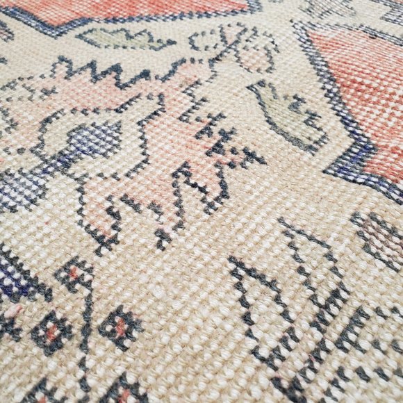 017 - POLLY - Picture 2 of 3